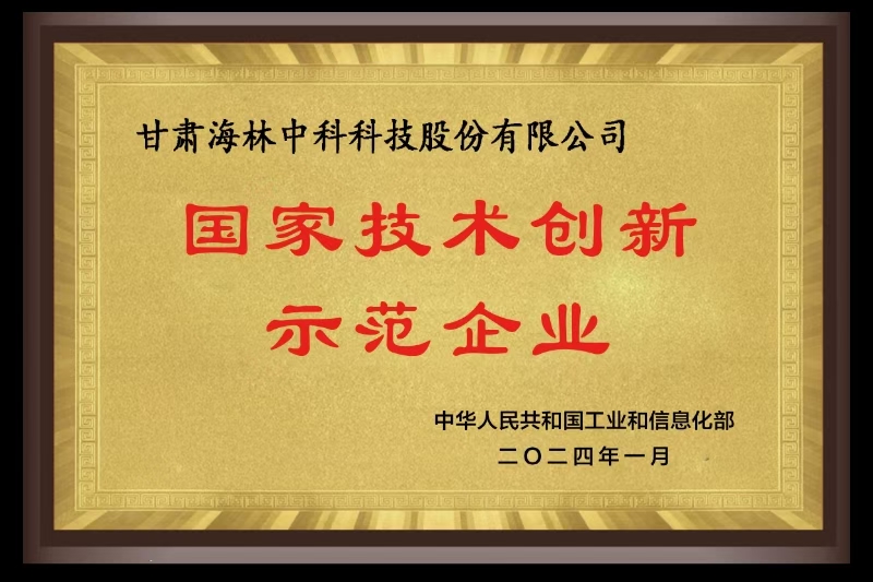 國家技術(shù)創(chuàng)新示范企業(yè)