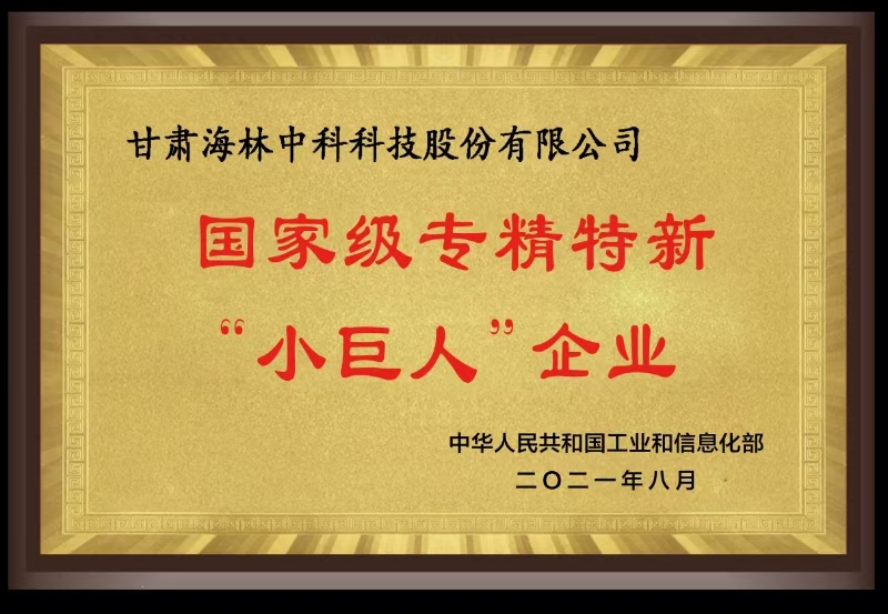 國家級(jí)專精特新“小巨人”企業(yè)