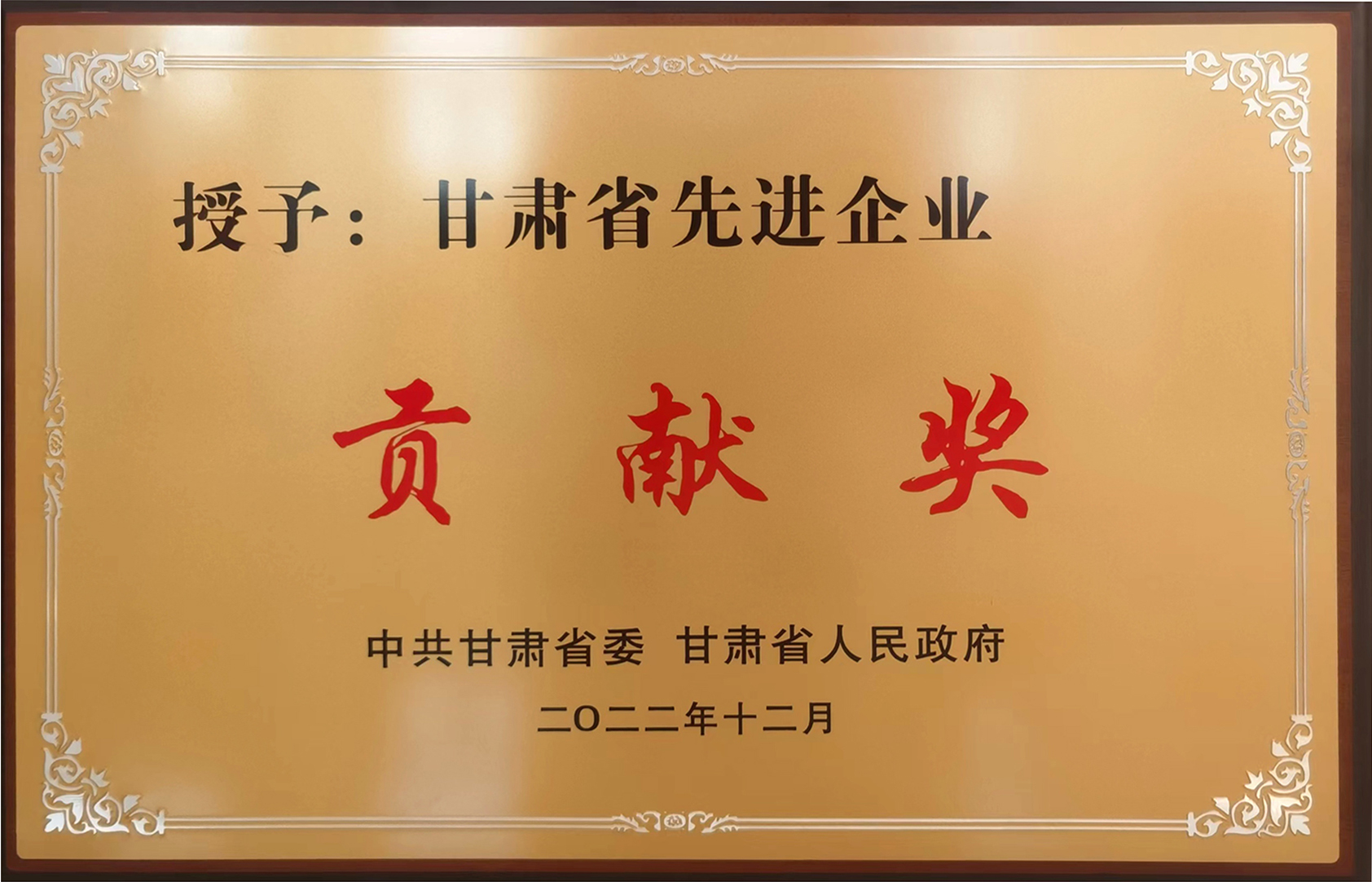 先進(jìn)企業(yè)貢獻(xiàn)獎(jiǎng)