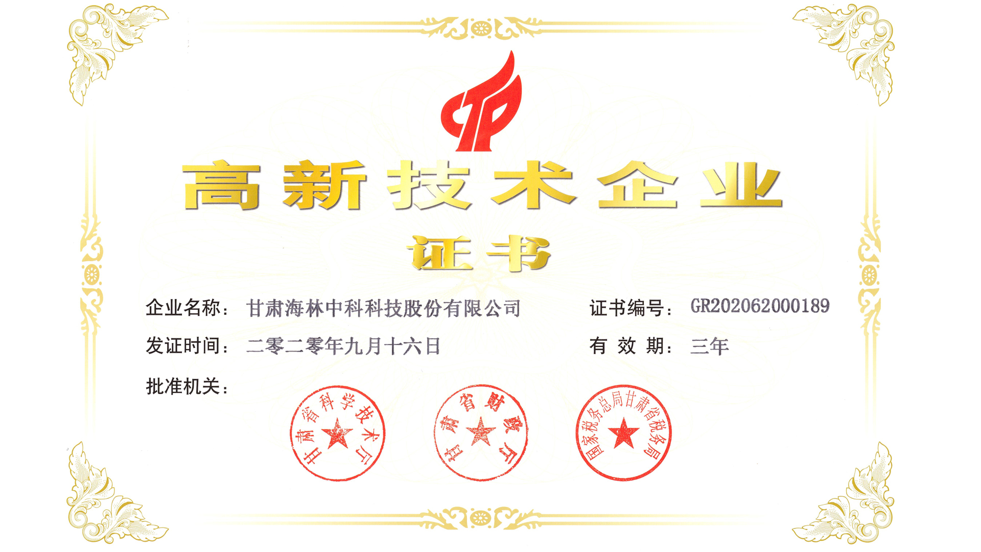 高新技術(shù)企業(yè)